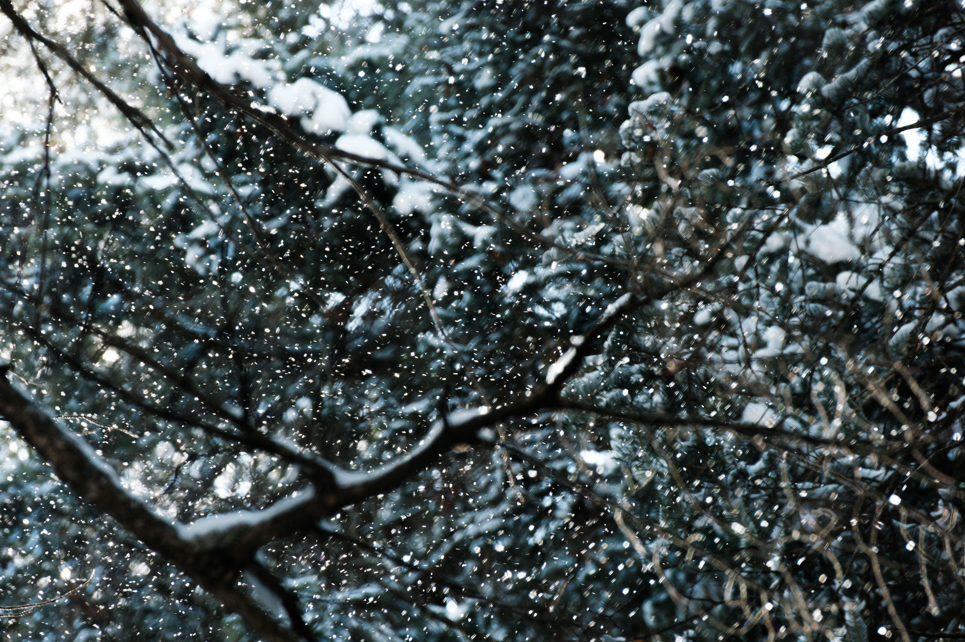 Colorado Springs (Glen Eyrie) Pt. 1