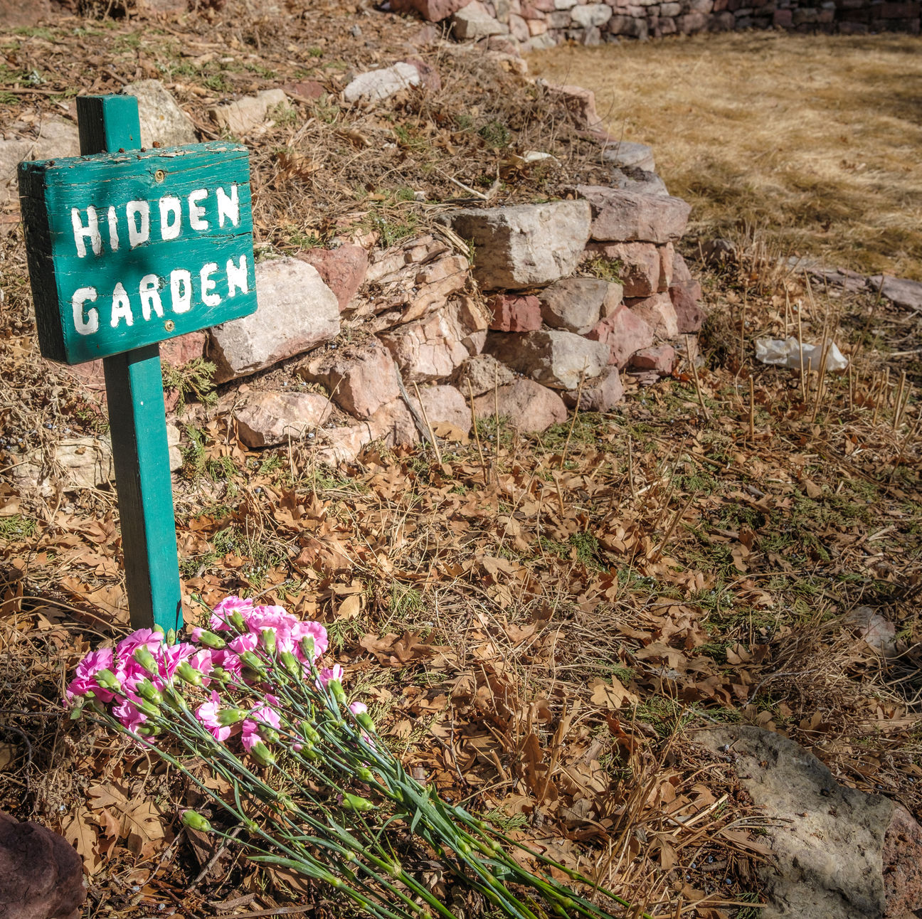 Colorado Springs Last Days