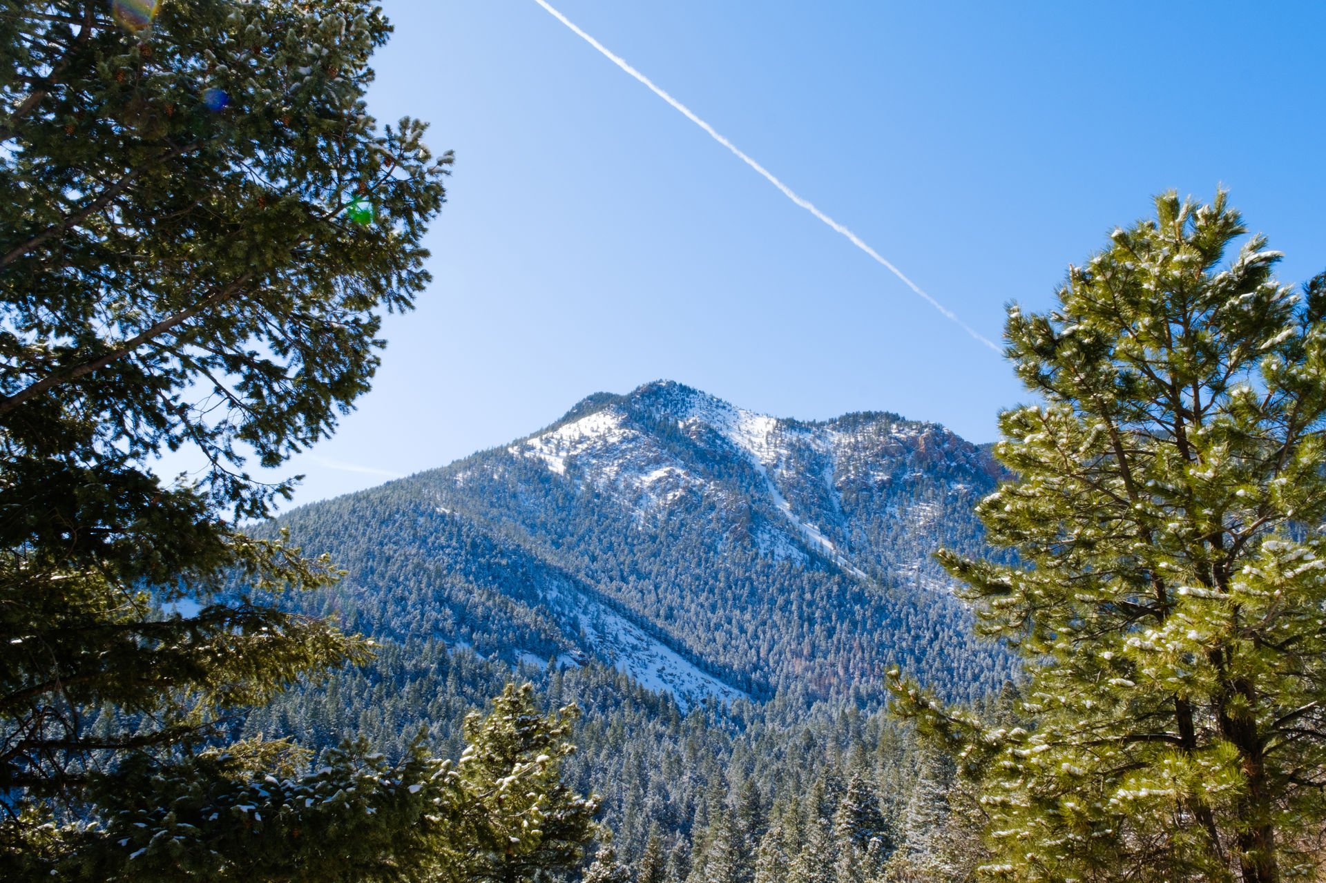 Colorado Springs Last Days