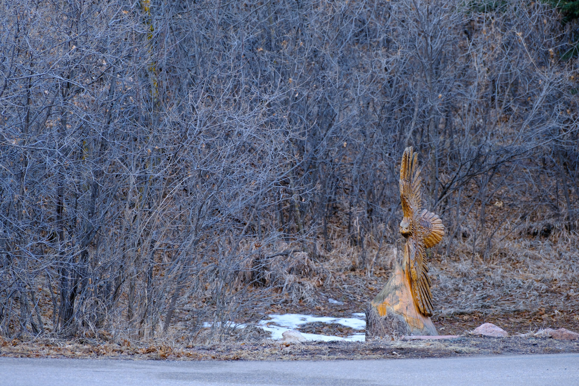 Glen Eyrie Castle Pt. 3