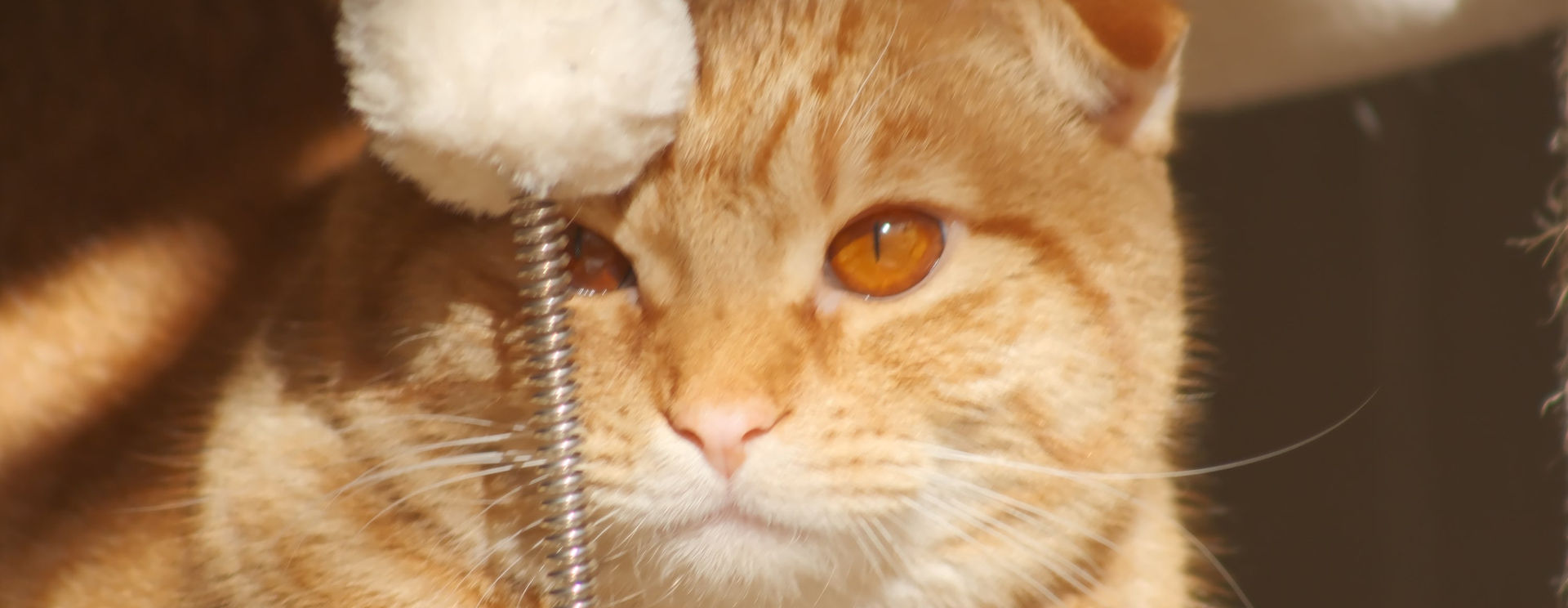 Kit Canon EF Lens on the Fuji X-T4