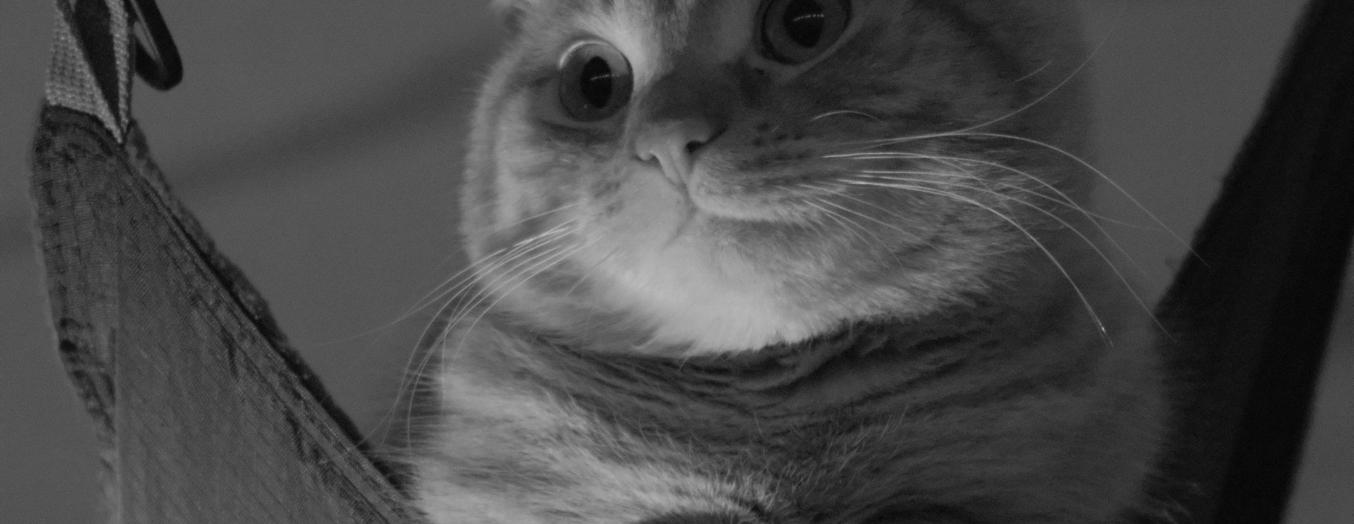 Kit Canon EF Lens on the Fuji X-T4