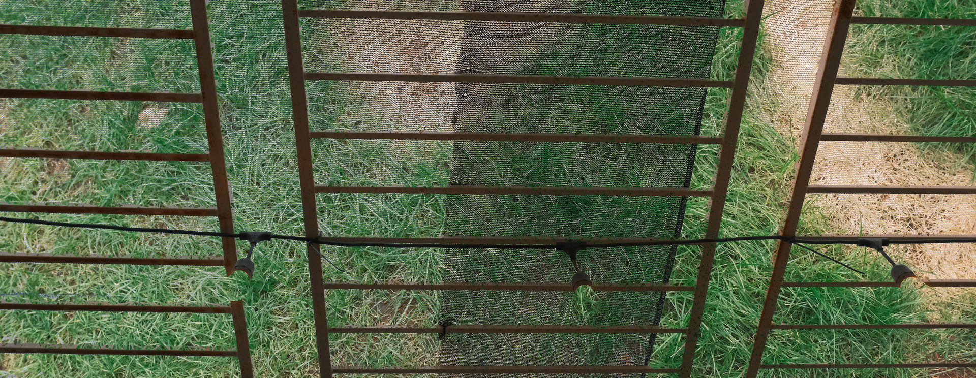 Playing with Fujifilm X-T4 Settings