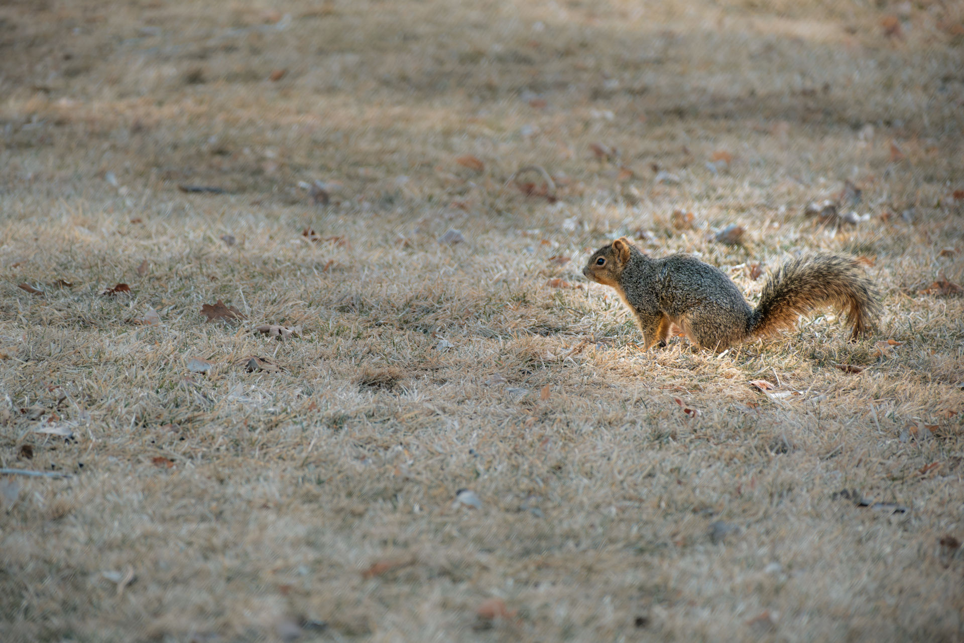 Post-Processing the Stragglers