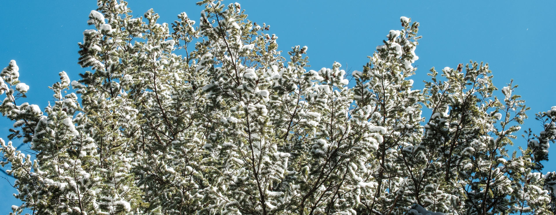 Post-Processing the Stragglers