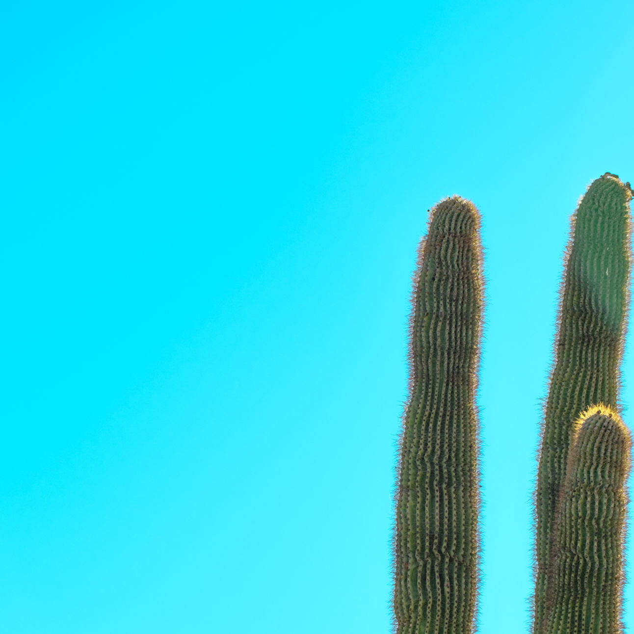 South Mountain Ridgeline Trail